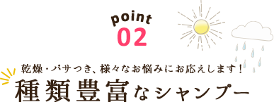 point02 乾燥・パサつき、様々なお悩みにお応えします！種類豊富なシャンプー